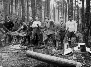 Zahlreiche Männer stehen mit Werkzeugen im Wald.