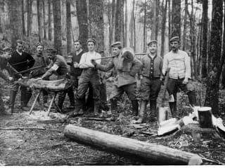 Zahlreiche Männer stehen mit Werkzeugen im Wald. Zahlreiche Männer stehen mit Werkzeugen im Wald.
