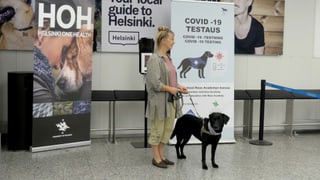 Hund vor einer Plakatwand mit Hundehalterin auf dem Flughafen Helsinki