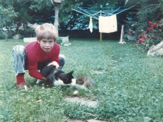 Junge spielt mit Katzen im Garten.