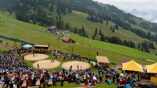 Das Areal des Rigi-Schwinget.