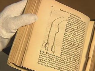 Zeichnung von Spermien in einem Buch des Naturforschers Antoni von Leeuwenhoek.
