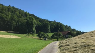 Landstrasse führt durch Wiesen. Rechte Wiese ist gemäht, am linken Rad steht ein Wald, der Himmel ist wolkenlos und mitten im Bild steht ein Bauernhaus. Landstrasse führt durch Wiesen. Rechte Wiese ist gemäht, am linken Rad steht ein Wald, der Himmel ist wolkenlos und mitten im Bild steht ein Bauernhaus.