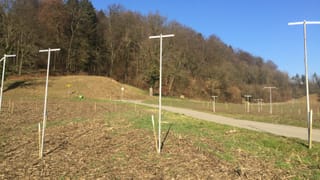 Profile der geplanten Umfahrung Mellingen Profile der geplanten Umfahrung Mellingen