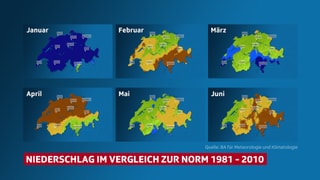 6 Schweizer Karten von Januar bis Juni. Die Einfärbung zeigt, wie nass es jeweils war im Vergleich zur langjährigen Norm. Einige Monate scheinen zu trocken zu sein. 