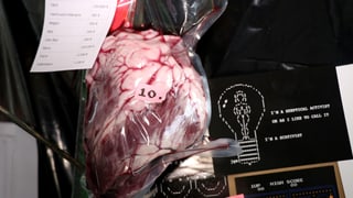 Ein Rinderherz in Plastik verschweisst. Ein Rinderherz in Plastik verschweisst.