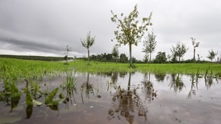 Land unter im Thurgau.