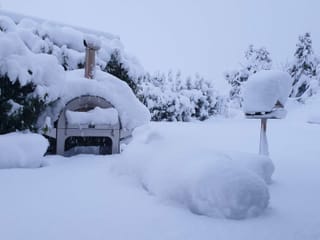 Verschneiter Garten
