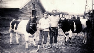 Zwei Männer stehen auf einem Hof: einer Hält eine Kuh, der andere einen Stier.