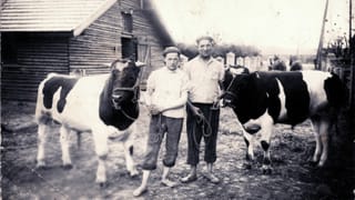 Zwei Männer stehen auf einem Hof: einer Hält eine Kuh, der andere einen Stier. Zwei Männer stehen auf einem Hof: einer Hält eine Kuh, der andere einen Stier.