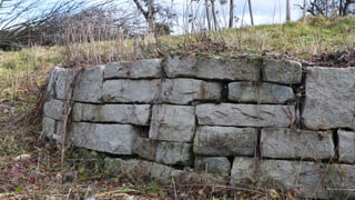 Trockenmauer im Naturgarten Trockenmauer im Naturgarten