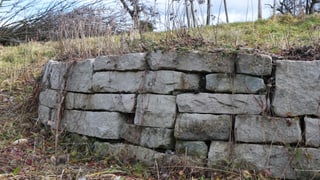 Trockenmauer im Naturgarten