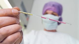 Eine Labormitarbeiterin hält eine Pailette mit befruchteten Eizellen in die Kamera. Eine Labormitarbeiterin hält eine Pailette mit befruchteten Eizellen in die Kamera.