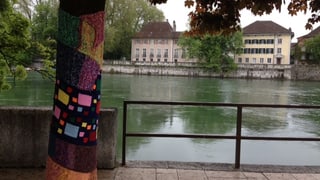 Baumstamm mit Wollen-Strickmuster, dahinter Aare und Altstadtbauten.