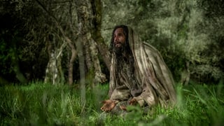 Jesus sitzt im Gras und betet. 