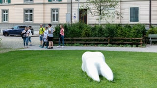 Ein übergrosser Zahn liegt auf einer Wiese. Ein übergrosser Zahn liegt auf einer Wiese.