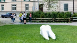 Ein übergrosser Zahn liegt auf einer Wiese.