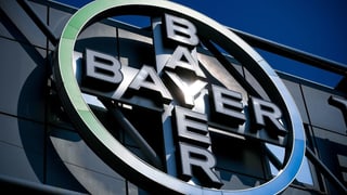Logo Bayer. Logo Bayer.