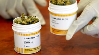 Cannabisblüten in Döschen. Cannabisblüten in Döschen.