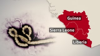 Kartenausschnitt von Afrika mit den betroffenen Ländern und einem Bild des Ebola-Virus.