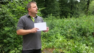 Revierförster Christian Kleiber erklärt die Folgen des Klimawandels, die auch im Hardwald spürbar sind.