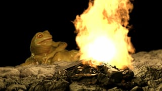 Ein Frosch neben einem Feuer