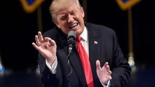 Donald Trump wild gestikulierend während einer Rede. 