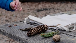 Naturmaterialien und Kinderhand Naturmaterialien und Kinderhand