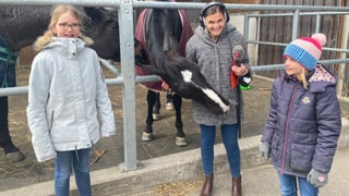 Mädchen und Reporterin auf dem Bauernhof mit Pferden