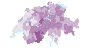 Schweizerkarte mit Bezirksgrenzen