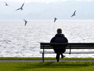 Mann auf Bank am See.