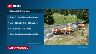 Ein Zusammenstellung der wichtisten Zahlen: z.B. 7 bis 11 Grad wärmer als die Norm war es Ende Juni.
