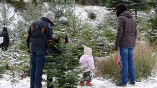 Eine Familie schneidet sich ihren Weihnachtsbaum.