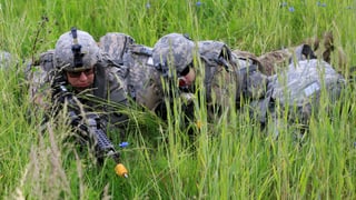 Bewaffnete Soldaten liegen im hohen Gras.