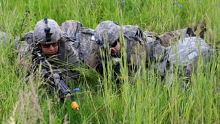 Bewaffnete Soldaten liegen im hohen Gras. Bewaffnete Soldaten liegen im hohen Gras.