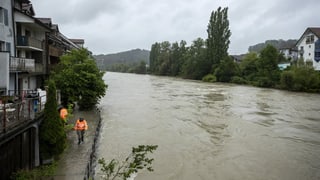 Reuss führt bei Mellingen Hochwasser.