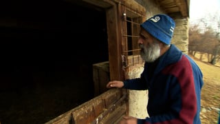 Bauer steht vor Stall Bauer steht vor Stall