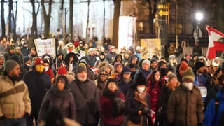 Demo in Wien