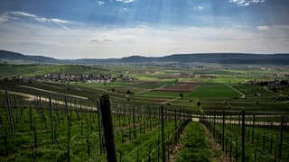 Ein abfallender Weinberg, im Hintergrund Agrarflächen und ein Dorf. Ein abfallender Weinberg, im Hintergrund Agrarflächen und ein Dorf.