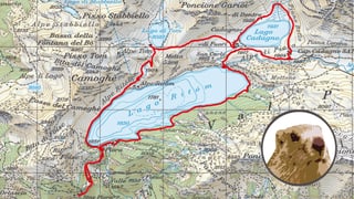 Karte mit Murmeli