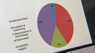 Kuchendiagramm. Kuchendiagramm.