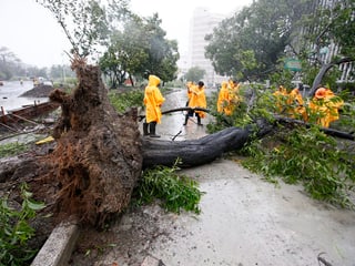Ein umgestürzter, entwurzelter Baum liegt auf der Strasse, darum herum ein paar Arbeiter in gelben Pellerinen.