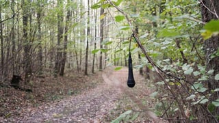 Ein Mikrofon hängt im Wald von einem Ast herunter. Ein Mikrofon hängt im Wald von einem Ast herunter.