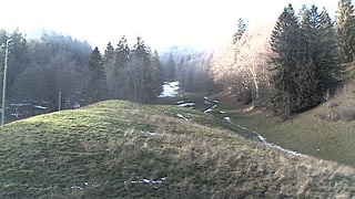 Grüne Wiesen und vereinzelte kleine Schneefelder.