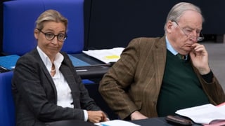 Alice Weidel und Alexander Gauland Alice Weidel und Alexander Gauland