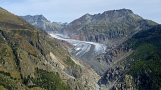 Eine Berglandschaft und in der Mitte ein Rest eines Gletschers. Es ist erkennbar, dass der Gletscher früher viel grösser war.