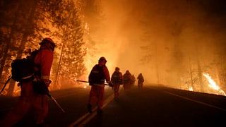 Feuerwehrmänner im Einsatz beim Waldbrand im Yosemite-Nationalpark.
