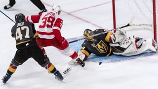 Die Golden Knights mit Luca Sbisa (links) und Torhüter Marc-Andre Fleury (rechts) im Spiel gegen Detroit.