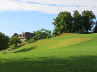 Die Elfenau-Wiese. Im Hintergrund das Herrschaftshaus. Rechts daneben das Känzeli mit Baumbestand. 