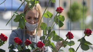 Katarzyna Goral hängt zum Gedenken 75 roten Rosen in einen Grenzzaun an der Altstadtbrücke an der polnischen Grenze in Zgorzelec. Katarzyna Goral hängt zum Gedenken 75 roten Rosen in einen Grenzzaun an der Altstadtbrücke an der polnischen Grenze in Zgorzelec.